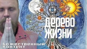 Медитация Дерево Жизни - Божественный Контент (10.11.2024)