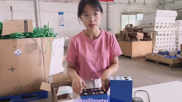 CATL 100ah lifepo4 cell VS EVE 105ah lifepo4 cell