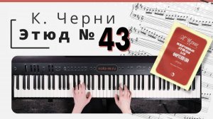 Этюд 43. К. Черни. Избранные этюды, ред. Гермера #фортепиано
