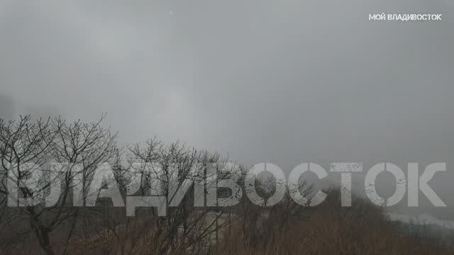 Владивосток Золотой мост в тумане,timelapse 19 января 2025 смотреть онлайн
