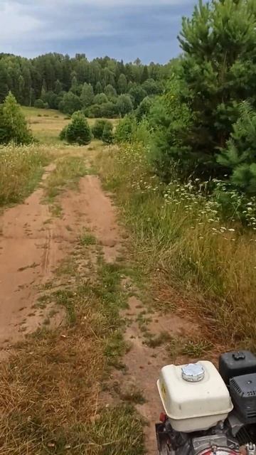 на гонык#villagelife#деревня#лето#жара#кайф#жизнь#июль?#мотоблок#белорус#телега#собака#животные смотреть онлайн