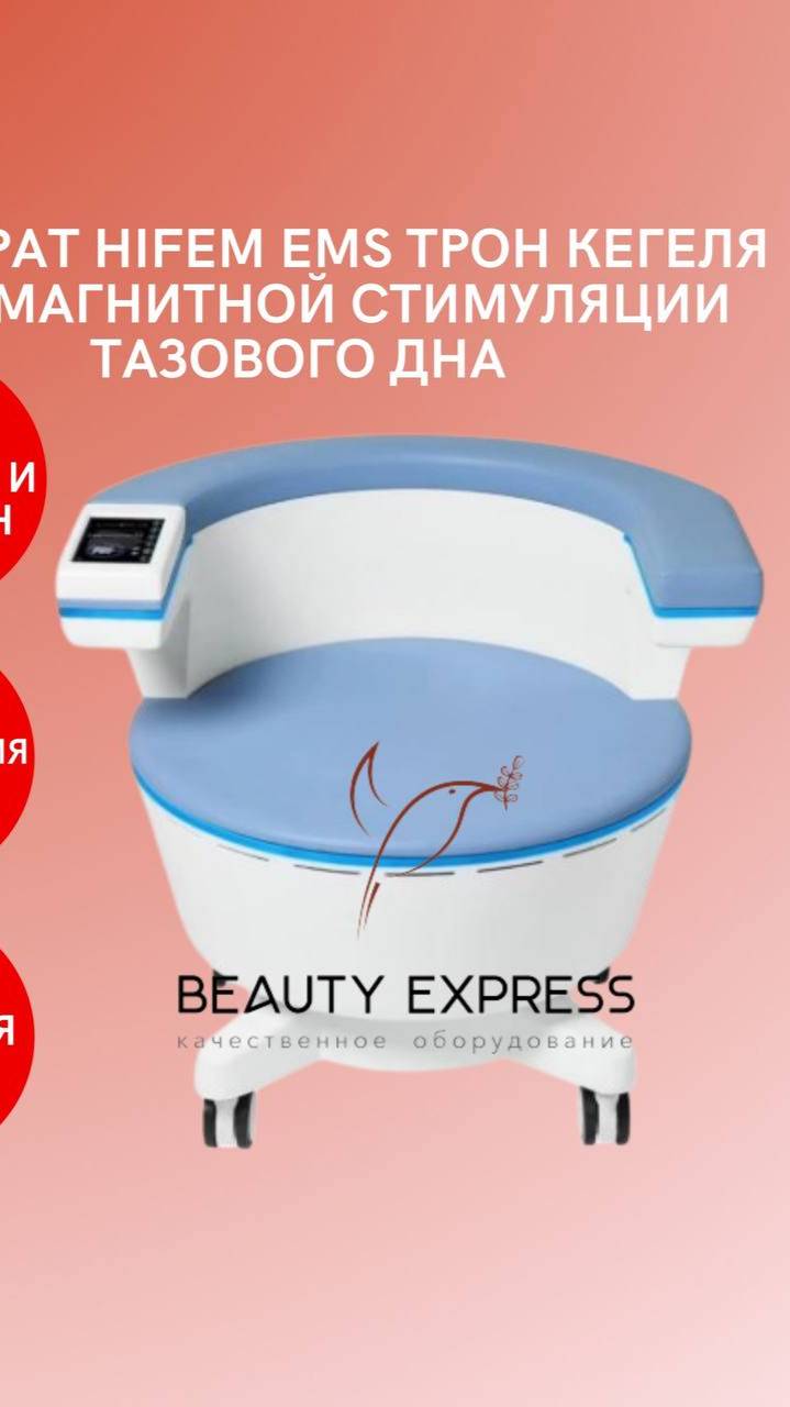 Аппарат Трон Кегеля (HIFEM EMS) для магнитной стимуляции тазового дна смотреть онлайн