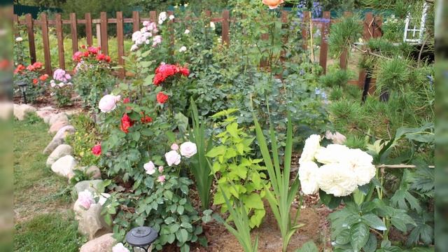 Каналу исполнился 1 год!!! смотреть онлайн