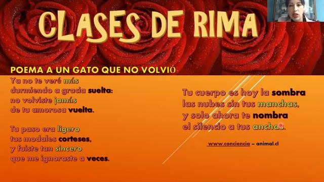 QUINTO/CASTELLANO/13 A 16 DE OCT./ LA RIMA/PARTE 1 смотреть онлайн
