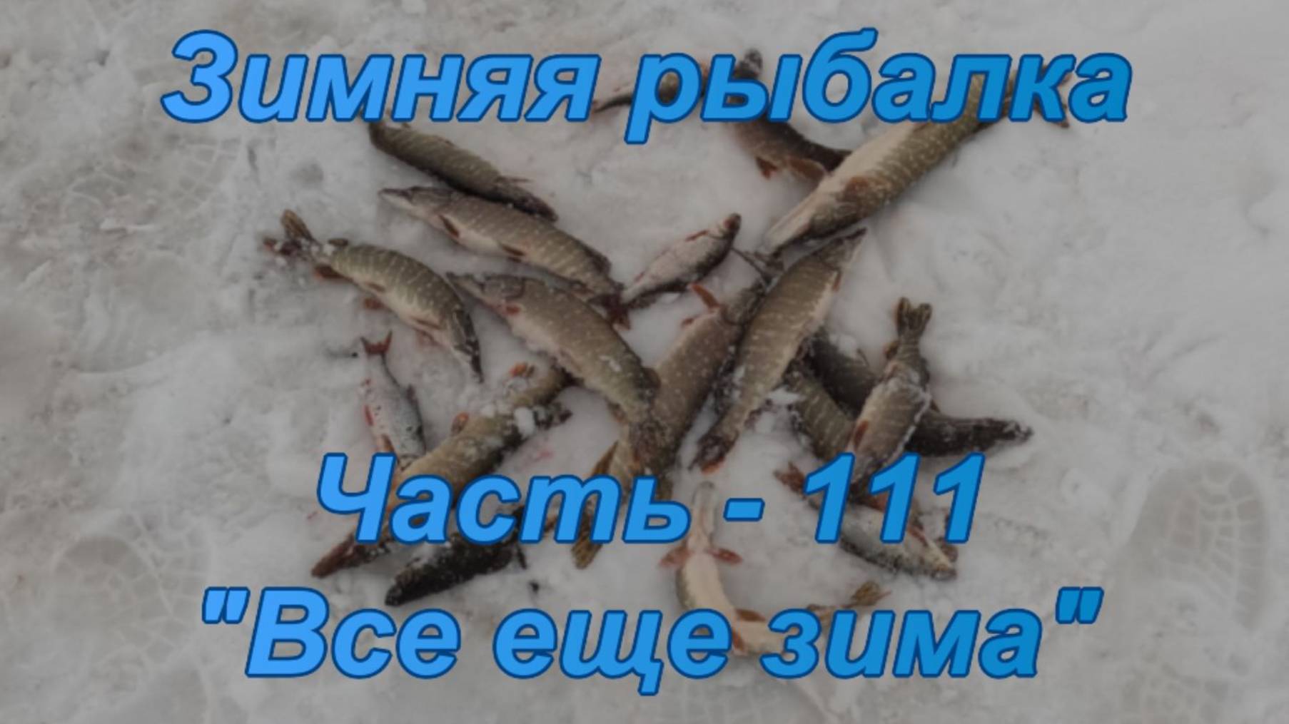 Зимняя рыбалка. Часть - 111. "Все еще зима". смотреть онлайн