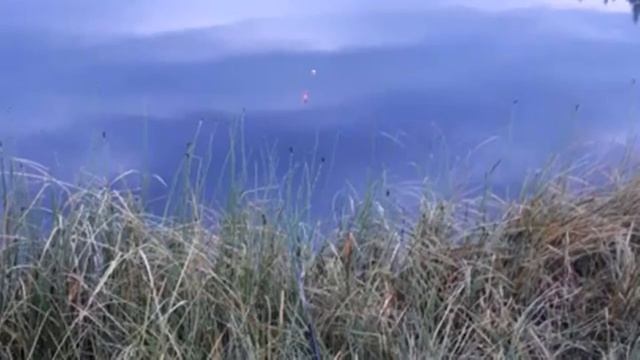 Охотское море_Белки частые гости_Доброта спасет мир смотреть онлайн