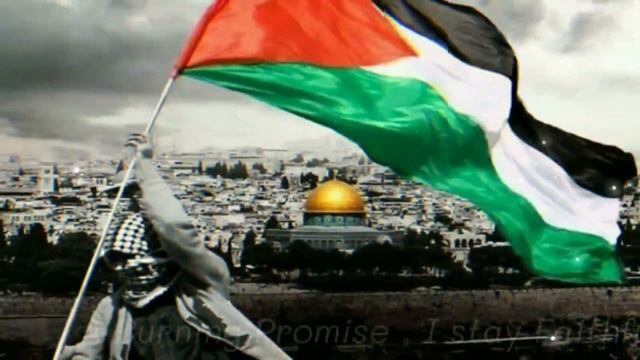 My Blood Is Palestinian (Dami Falasteeni) | Mohammed Assaf