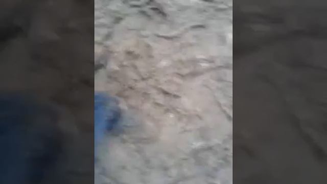 как бухать в лесу смотреть онлайн