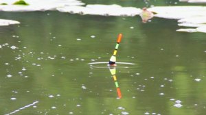 КАКИЕ КАРАСИЩИ!!!Вот это рыбалка на карася на поплавок 2025