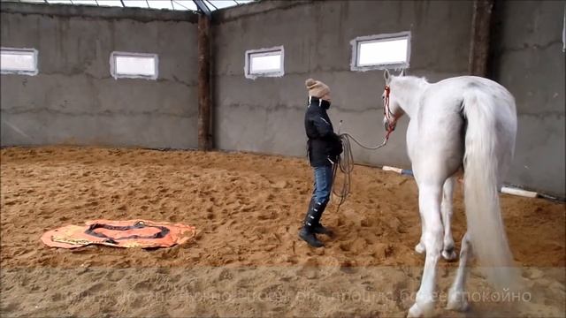 Приучение к "срашилкам": Летопись и лодка смотреть онлайн