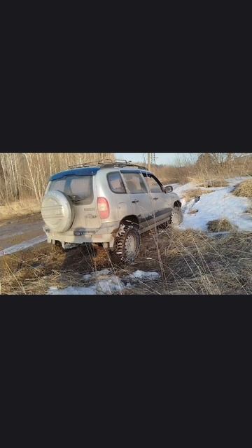 Проба Блокки Иж-техно