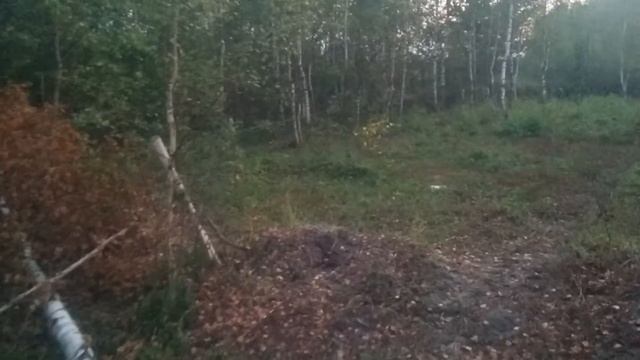 ИЖС в Электрогорске 24 сот смотреть онлайн
