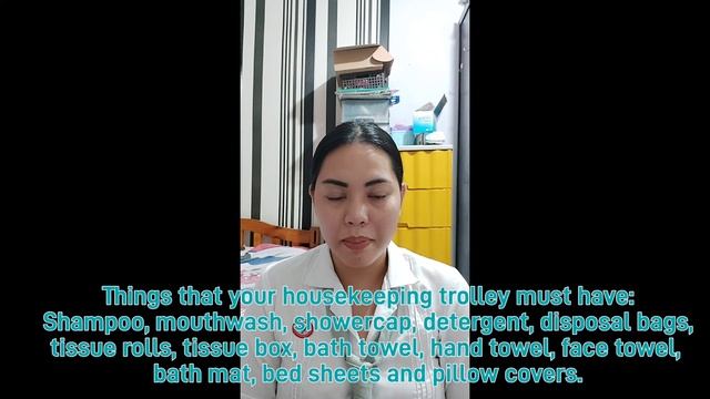 HOUSEKEEPING VLOG смотреть онлайн