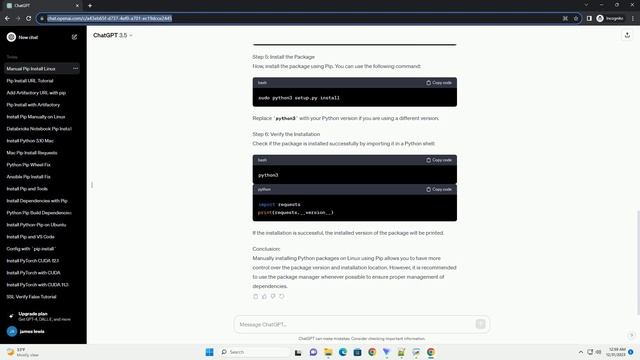 manually install pip package linux смотреть онлайн