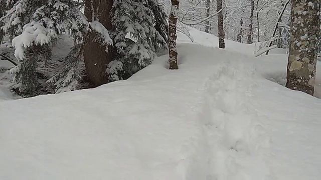 Помереть на тропе смотреть онлайн