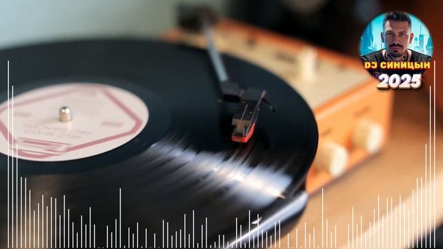 DJ СИНИЦЫН - Диджей, смени пластинку 2025 смотреть онлайн