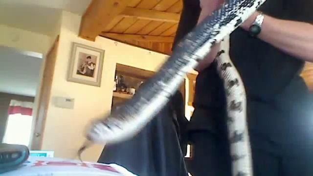 my new baby! смотреть онлайн