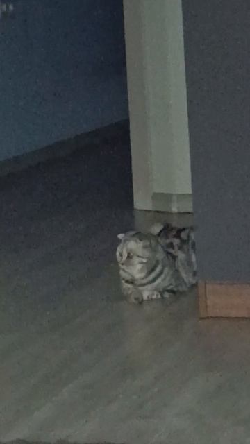 Включает дальний