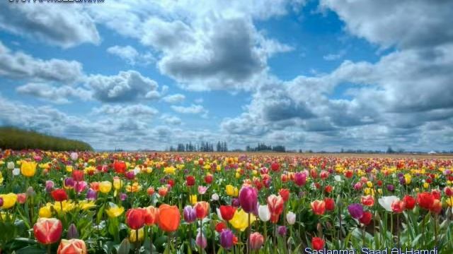 073. Сура Аль-Муззамиль
Прекрасное чтение Корана Чтец: Саадом Аль Гамиди смотреть онлайн