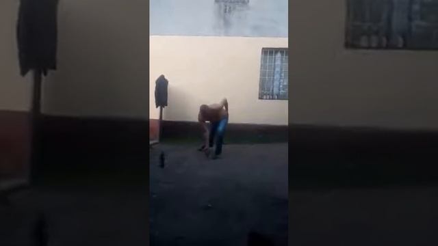 Zemsta Mnicha смотреть онлайн