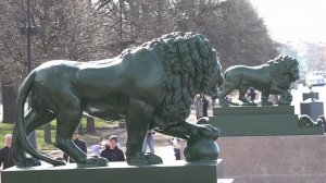 Знаменитые медные львы вернулись на свои места на пристани в Санкт-Петербурге