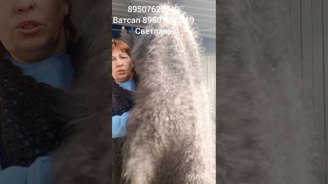 Пуховые платки. смотреть онлайн