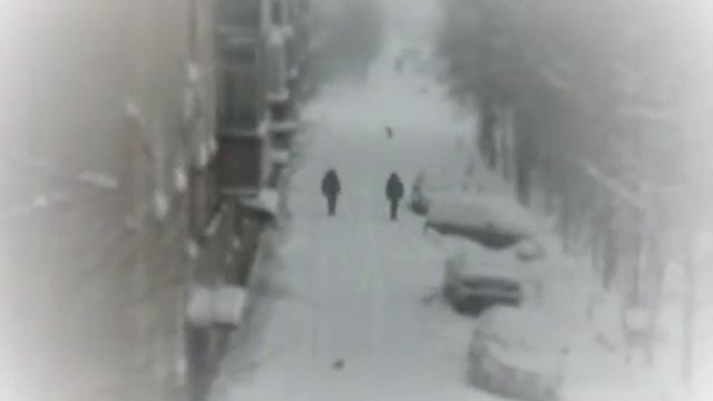 близнецы и птицы смотреть онлайн