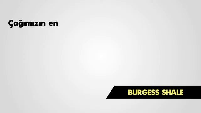 Burgess Shale Hakkında Bilgi | Tek Cümlede Evrim смотреть онлайн