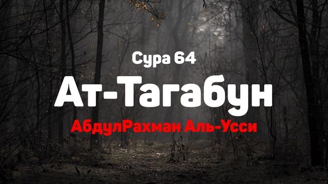 Сура 64 Ат-Тагабун - АбдулРахман Аль-Усси