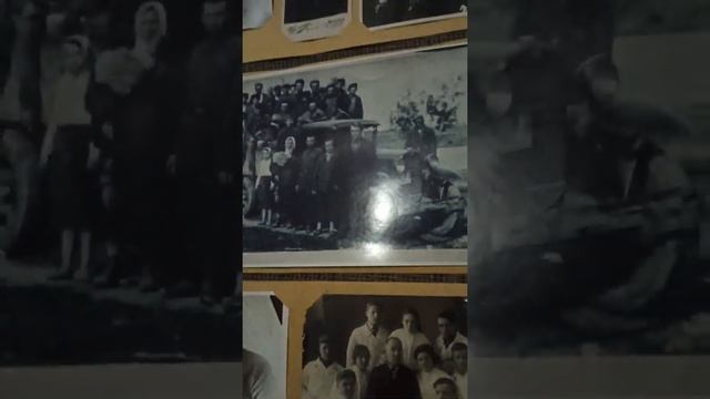 Удивительный экспонат. Оконные ставни приобрели новую жизнь смотреть онлайн