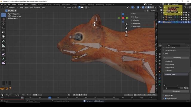 Rigify blender : Rig A Squirrel with Rigify | Animal Meta-Rig | Animal Rigging in Blender смотреть онлайн