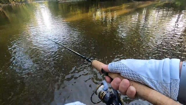 Christian gets one on first cast on a nice scenic day on Elkhorn Creek смотреть онлайн