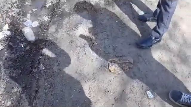 ланга-шланга :D смотреть онлайн