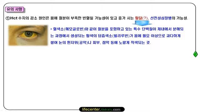 빈혈의 유형과 원인 및 혈액 검사 해석 смотреть онлайн