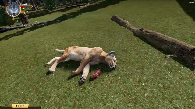 Poisoning everything! || WolfQuest Anniversary Edition смотреть онлайн