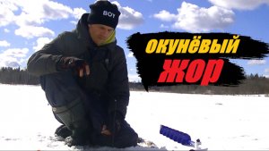 Рыбалка на блесну. Крупный окунь по последнему льду.