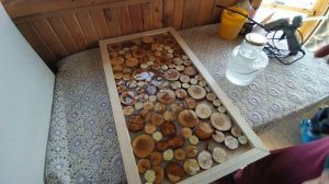 Заливаю спилы деревьев эпоксидной смолой! Зачем это нужно?