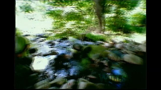 MARK CIGARETTES - PHOTO TVC 30s HD смотреть онлайн