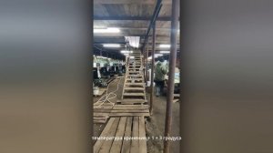 Саженцы ожидают отправки