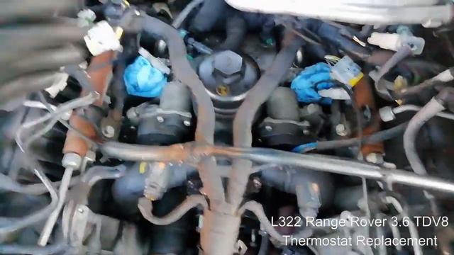 Range Rover L322 3.6 TDV8 Thermostat Replacement смотреть онлайн