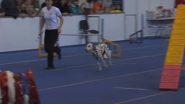 Чемпионат 11.04 Команда: Турбо смотреть онлайн