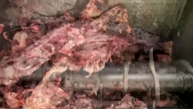 Emulsificador de carne industrial - FL248 DK - KARL SCHNELL смотреть онлайн