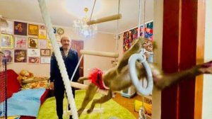 Что творит эта Люська! У нее ЗАБРАЛИ КОТЁНКА и Люська пошла в разнос)))