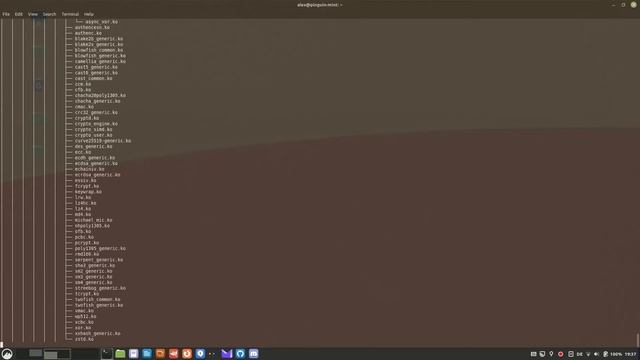 Running `tree` on / in Linux Mint смотреть онлайн