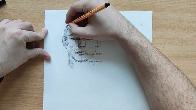 Как НАРИСОВАТЬ ПОРТРЕТ ручкой. Обучающий урок по рисованию смотреть онлайн