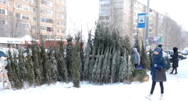 В разных точках города заработали елочные базары смотреть онлайн