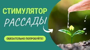 Допинг для рассады - обязательно попробуйте!
