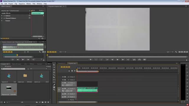 Tutorial Adobe Premiere how to make Stop Motion смотреть онлайн