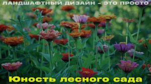 Юность лесного сада.  Ландшафтный дизайн – это просто! Сезон 4