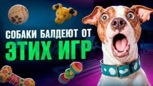 Как Стать ЛУЧШИМ Хозяином Топ 5 Игр, Которые ОТКРОЮТ Таланты Твоей Собаки